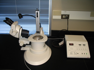 Cryofixation Image