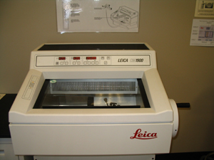 Cryosectioning for Light Microscopy